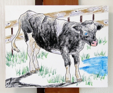 114JqD6tyhPMg5VjPK3D.jpg?w=940&h=940