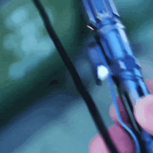 126hLkKvKj9fwwoWv6na.gif?w=940&h=940