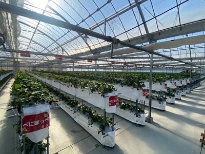 12AR8uqHFTBRpKgDp8A8.jpg?w=940&h=940