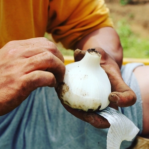 12uGHKgB8sezNdUCxZHj.jpg?w=940&h=940