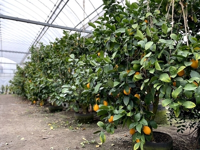 13ZjqcJot1Rqce2cLEz8.jpg?w=940&h=940