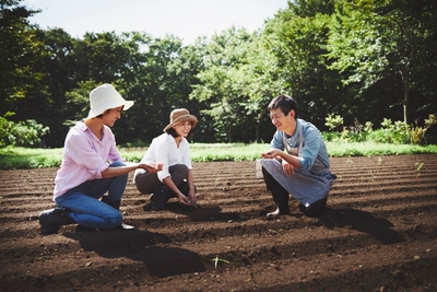 14PS5pMmILkq2pa8MpJM.jpg?w=940&h=940