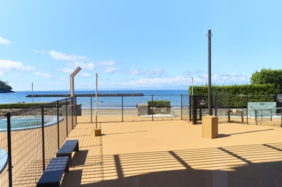 151pSzENaci8CoSaJYf7.jpg?w=940&h=940