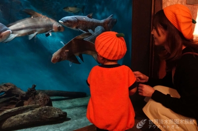 16KRvDEpOB7Dr3ciudma.jpg?w=940&h=940