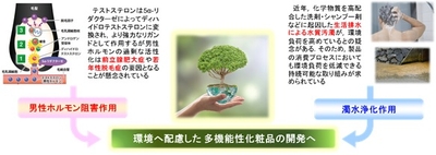 研究開発イメージ