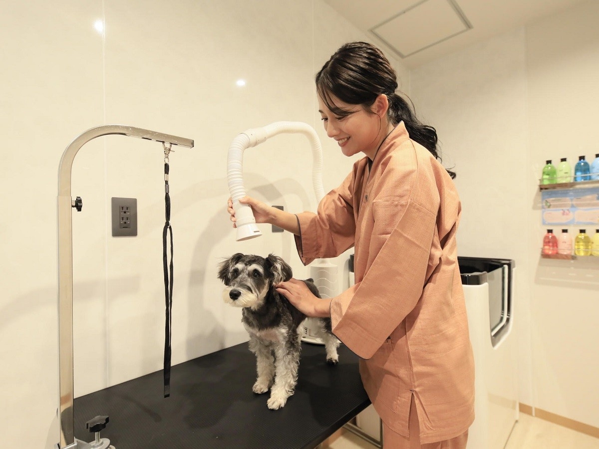 トリミング&ドライルーム