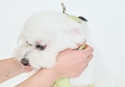 16ki1svHhUvNFWAxZjd6.jpg?w=940&h=940