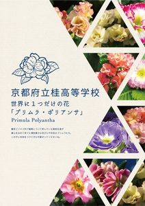 17rcVTW1cudoHudWQqLZ.jpg?w=940&h=940