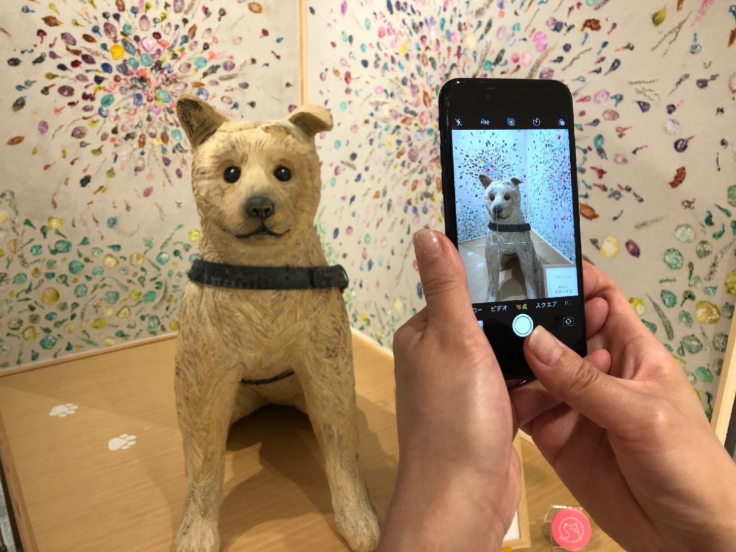 フラワーウォールとハチ