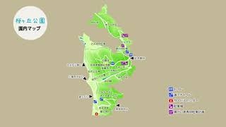 1AMkByyYPN1JDhIf5LOG.jpg?w=940&h=940