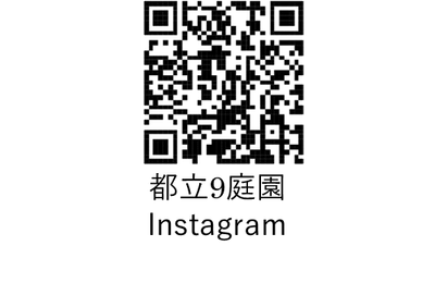 1Ac9apXC1SEl01vIzTTv.png?w=940&h=940