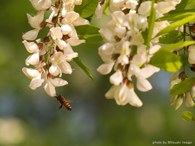 1BUWW54OgWzt3zpaTKhh.jpg?w=940&h=940