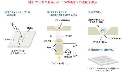 1Btpiq0g9gV12JH97ZEl.png?w=940&h=940