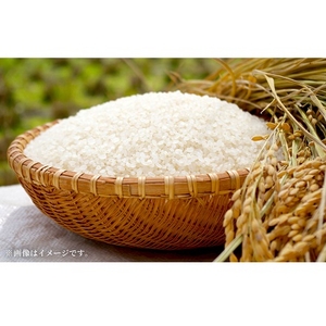 1CKI6dUrgLj2Y8OsgIBO.jpg?w=940&h=940