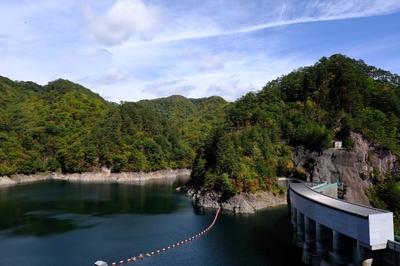 1D4E7ArvTf7OpenXxbXt.jpg?w=940&h=940