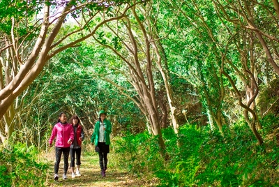 自然の中をトレッキングしながらリフレッシュ