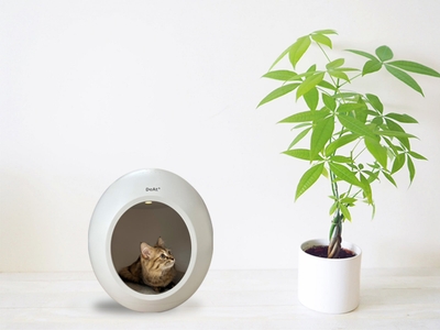 1Ey2ze3oo7lFarQgevLl.jpg?w=940&h=940