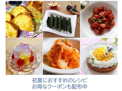 1FlcN5hmMkAFRhtBE6vC.jpg?w=940&h=940