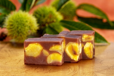 国産の新栗がごろごろ入った栗蒸しようかん 「栗よせ」が9月2日(土)に発売！期間限定商品です！