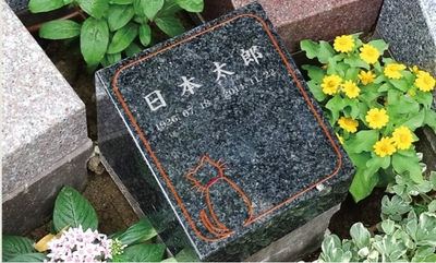 1IzbVRssnmNldDx7hqXU.jpg?w=940&h=940