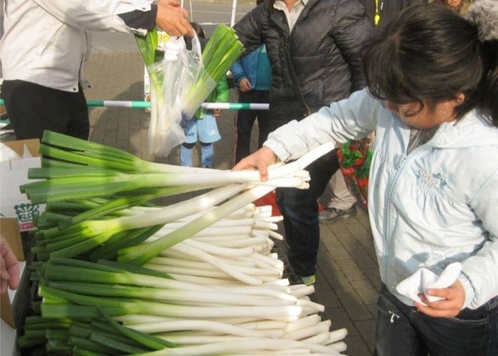 埼玉県産深谷ねぎ片手掴み放題