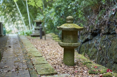 1Msbn7Ho2Ypo0Ha6mkK4.jpg?w=940&h=940