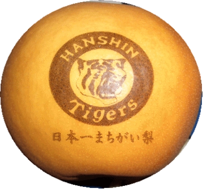 阪神タイガース日本一まちがい梨　出荷開始