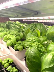 1OMwXvV4haLvf1NkDo3J.jpg?w=940&h=940