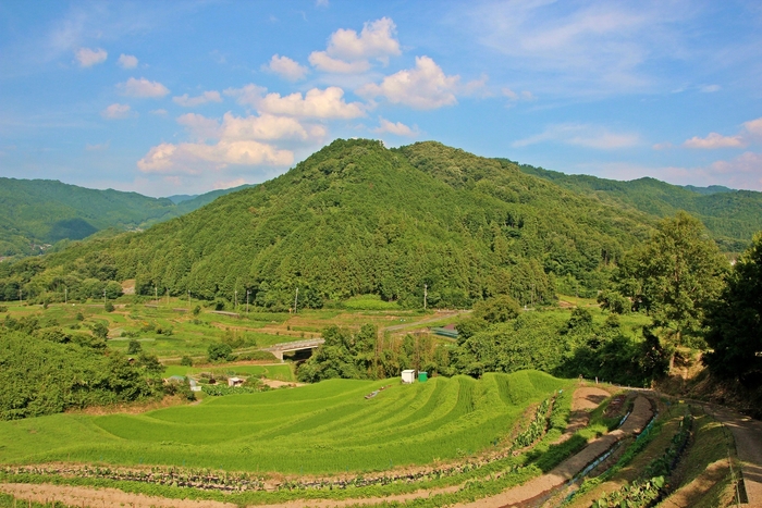 明日香村_風景[稲渕]