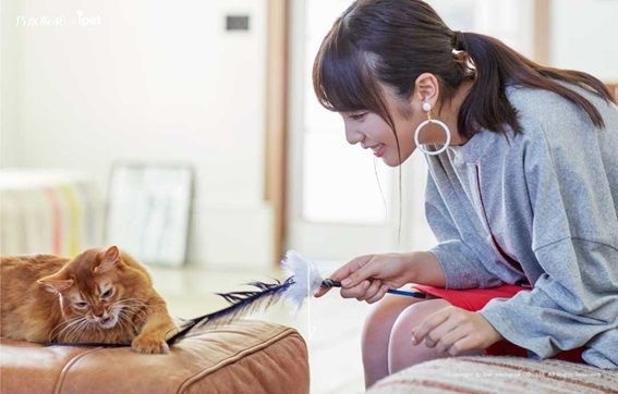 ペット保険のアイペット】 与田祐希の飼い猫を白石麻衣が診察！？ 『犬