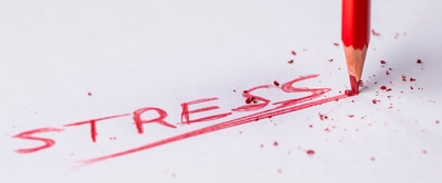 1PrlZSDmpmc8HXtMdU65.jpg?w=940&h=940