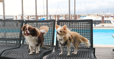 1RwOTs8BXgyBuoe78UtA.jpg?w=940&h=940