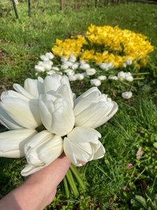 1Td4aAUqqJUIvtEVVlQ7.jpg?w=940&h=940