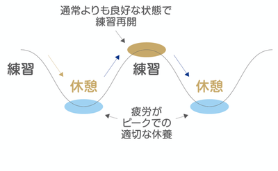 1Ui1swBd7MtKWxJDIbZM.png?w=940&h=940