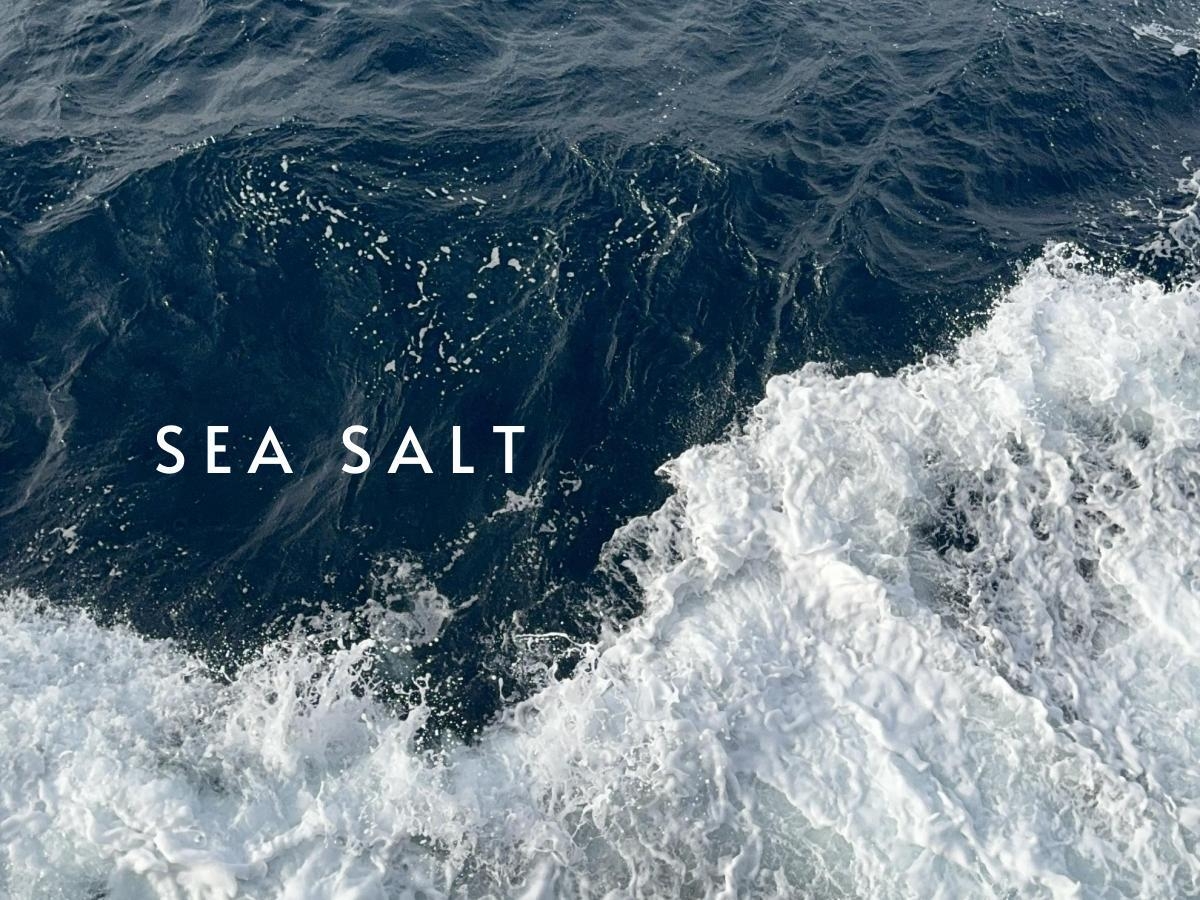 代表のルーツ、五島列島の清らかな海