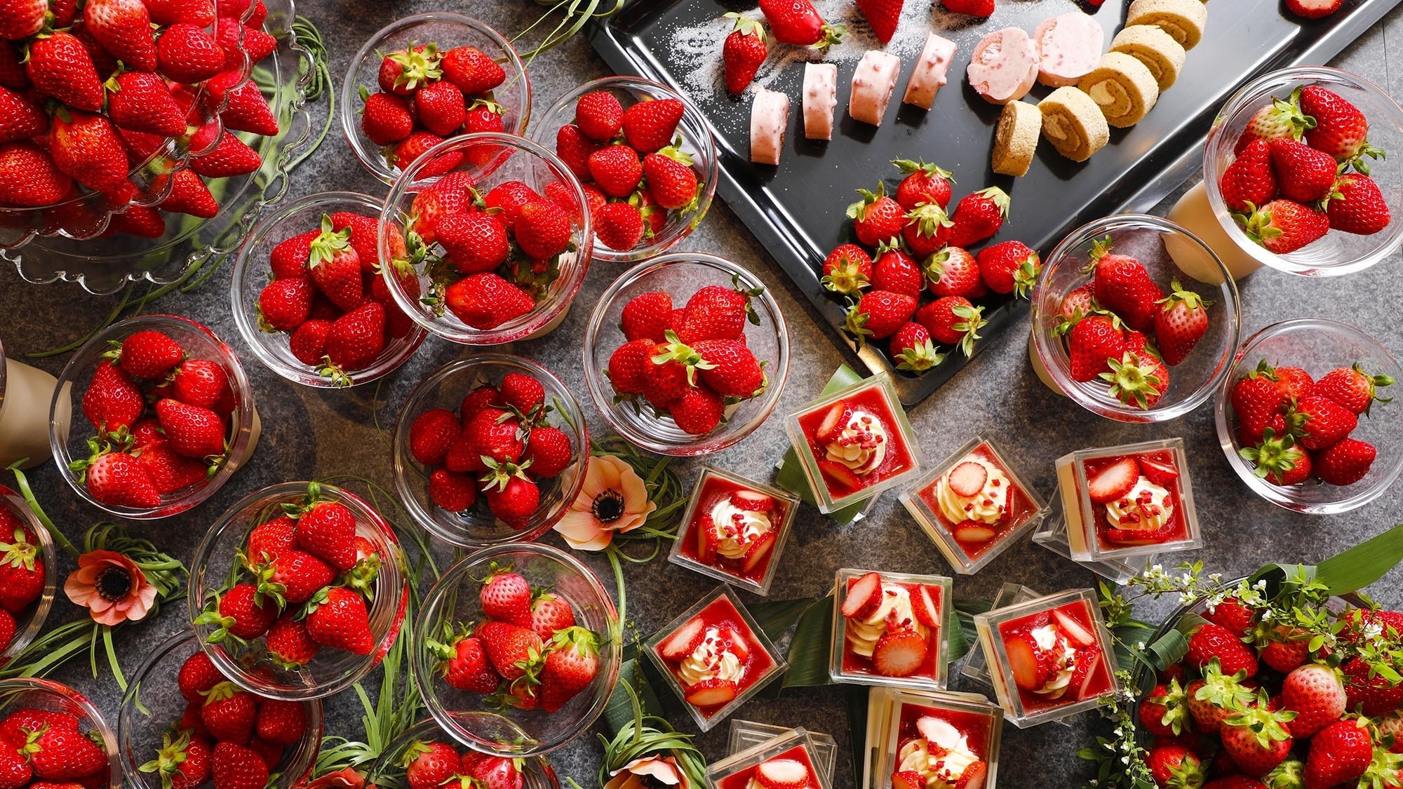 春から予約サイトリニューアル！心満たされる、春のご褒美旅　ー　京都府京丹後市夕日ヶ浦温泉「時季を彩る　佳松苑」