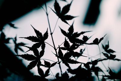 1XLG0jzpVeoa3ycSyfX0.jpg?w=940&h=940