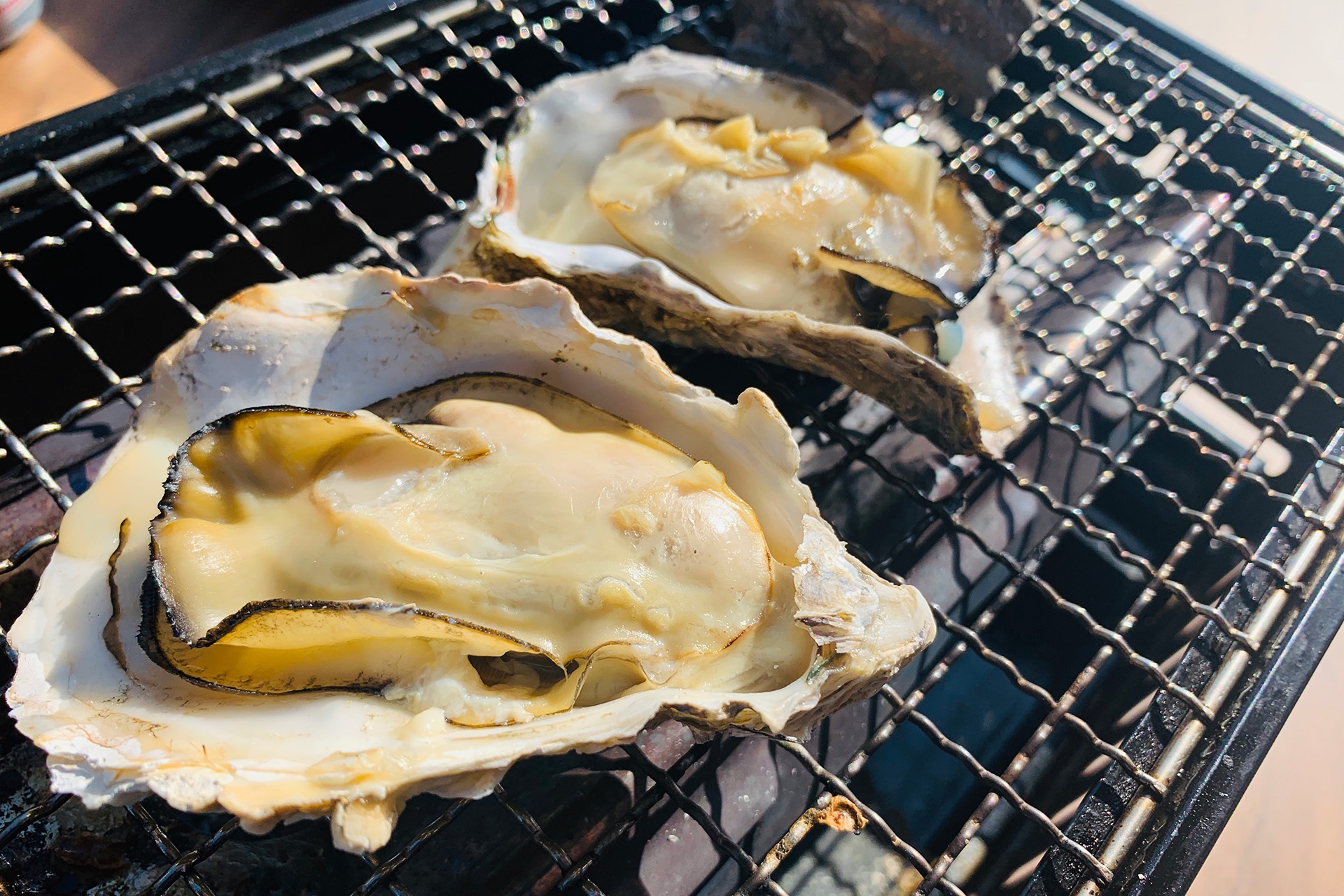 【BBQ&Co】明石市大蔵海岸のBBQ場「ZAZAZA」が、牡蠣の食べ放題イベントを特別料金で開催!牡蠣は本場の兵庫県相生産をご用意!