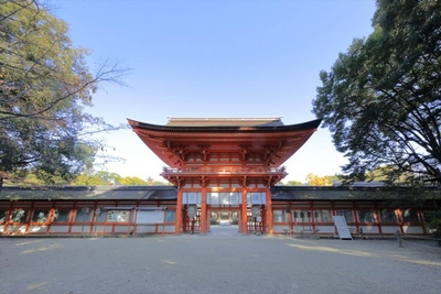 1Y7xaZwOznUJQUvY8jRi.jpg?w=940&h=940