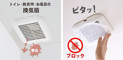 1Z0lXVMAKyikiwoJp8Lp.jpg?w=940&h=940