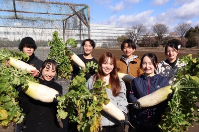 収穫したダイコンを手にする学生たち