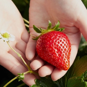 1ZHtUpM09hUCti1tsMcu.jpg?w=940&h=940