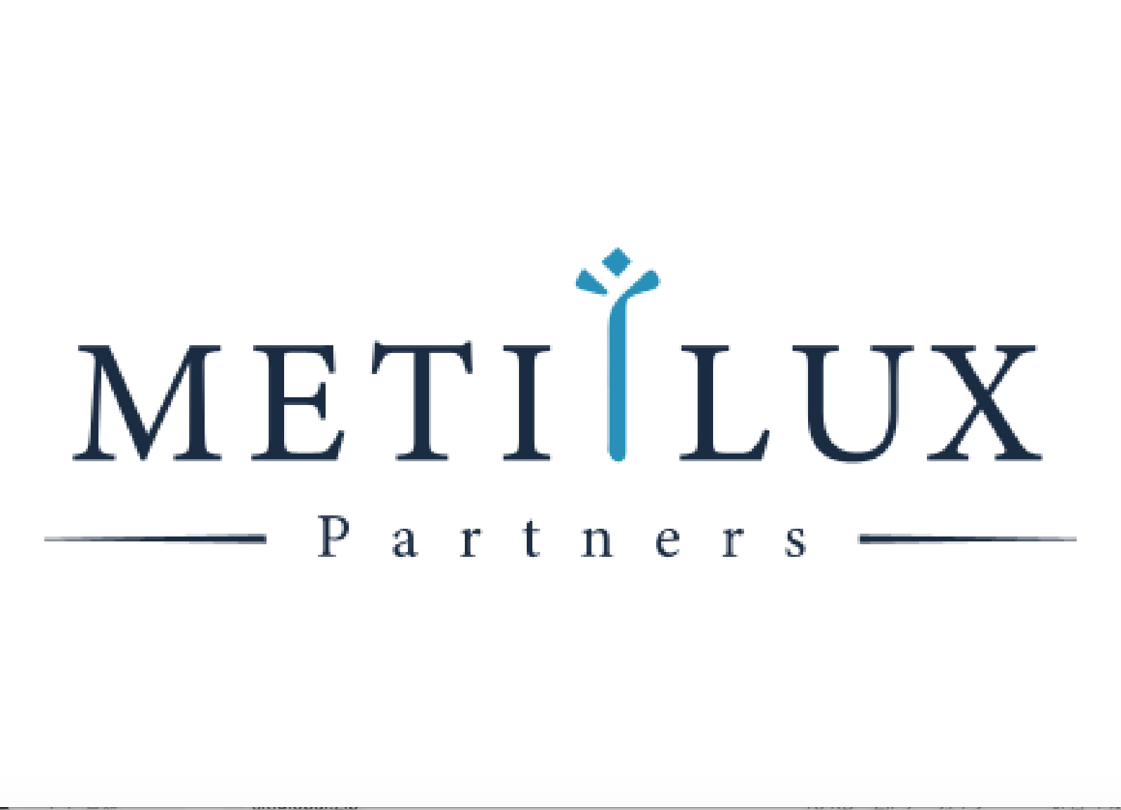 Meti Lux Partners株式会社