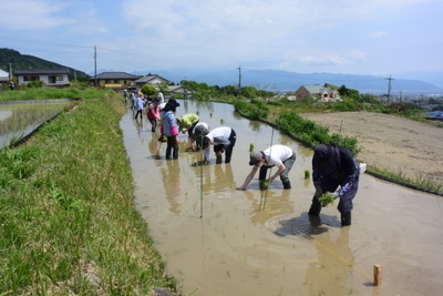 1Zm7bJaIZzyIldprmAoC.jpg?w=940&h=940