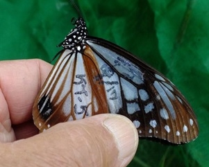 1b4SfC3ENaFXDbOeoi8h.jpg?w=940&h=940