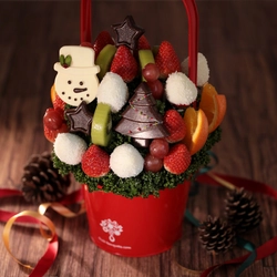 おうちで過ごすクリスマスを盛り上げる！ケーキとは一味違う フルーツいっぱいパーティーフードを11月下旬より販売開始