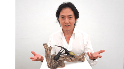 1cU6offvHmCM9q20urve.png?w=940&h=940