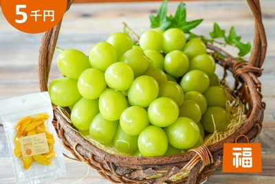 1cs7P1Ud8Iu2lGRPlUj9.jpg?w=940&h=940