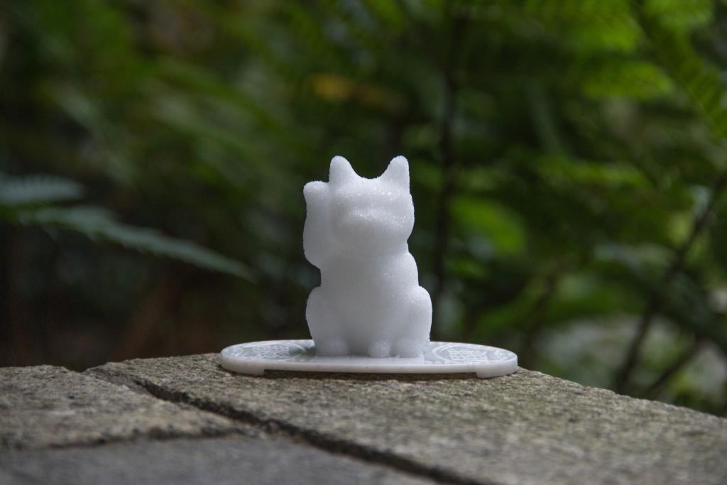 招き猫と盛り塩のWパワーで開運!