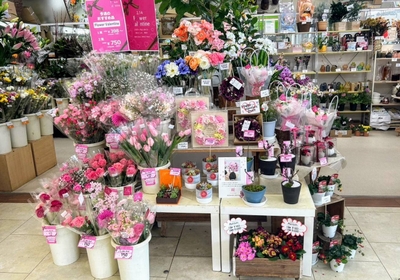 1euHVdXziAgE0bqZC7fs.jpg?w=940&h=940